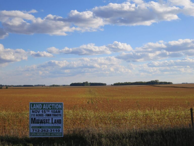212 ACRES - 4 Tracts-Field Landscape-1507146652
