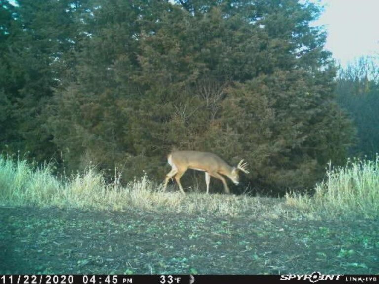 23.5 Acres Cropland & Timber-10-1624303493