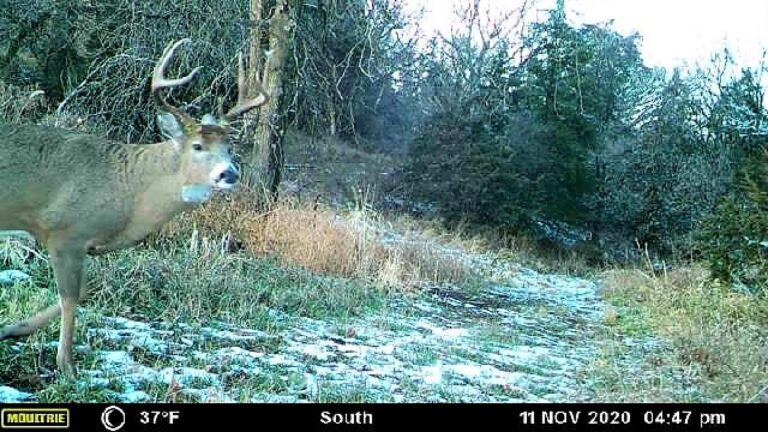 23.5 Acres Cropland & Timber-11-1624303536