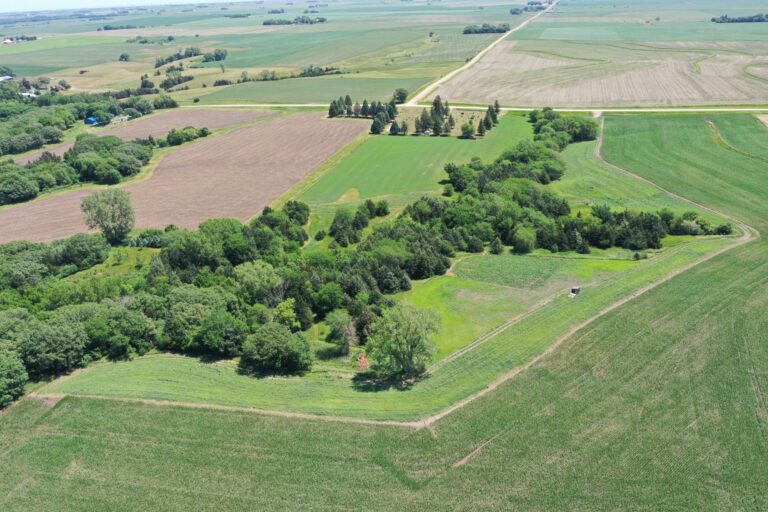 23.5 Acres Cropland & Timber-3-1624051291