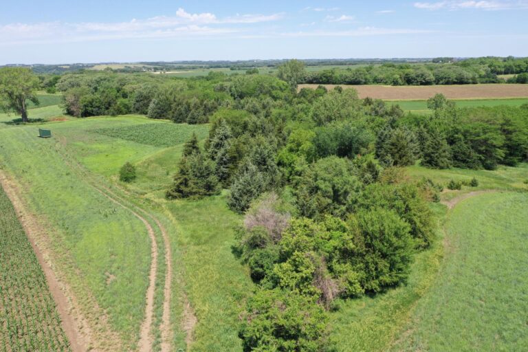 23.5 Acres Cropland & Timber-4-1624051309