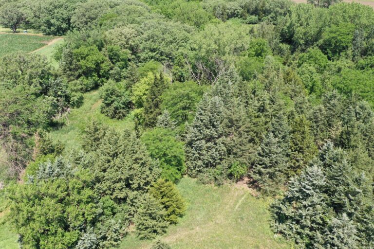 23.5 Acres Cropland & Timber-7-1624051364