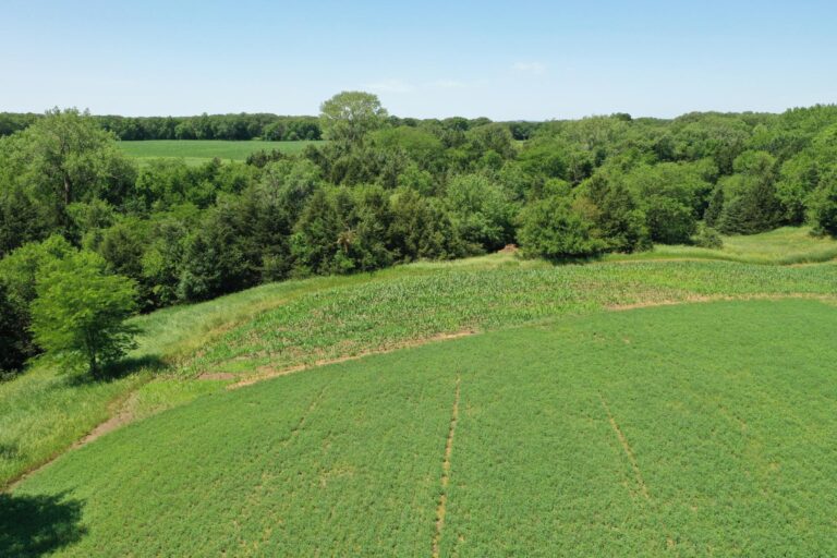 23.5 Acres Cropland & Timber-8-1624051383
