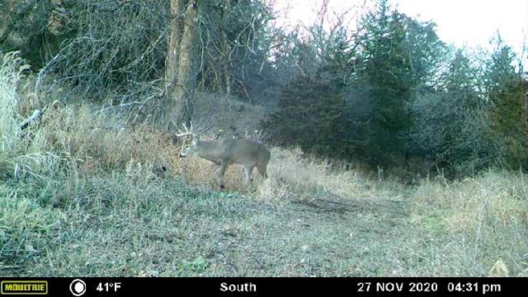 23.5 Acres Cropland & Timber-9-1624303507