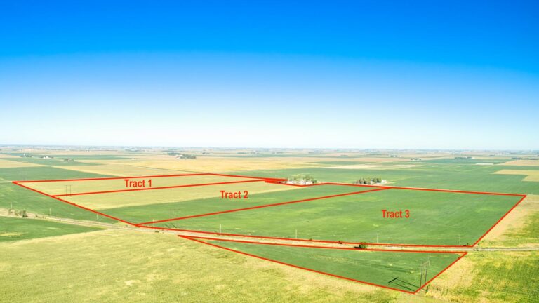 233.07 Surveyed Acres-1-1664309599
