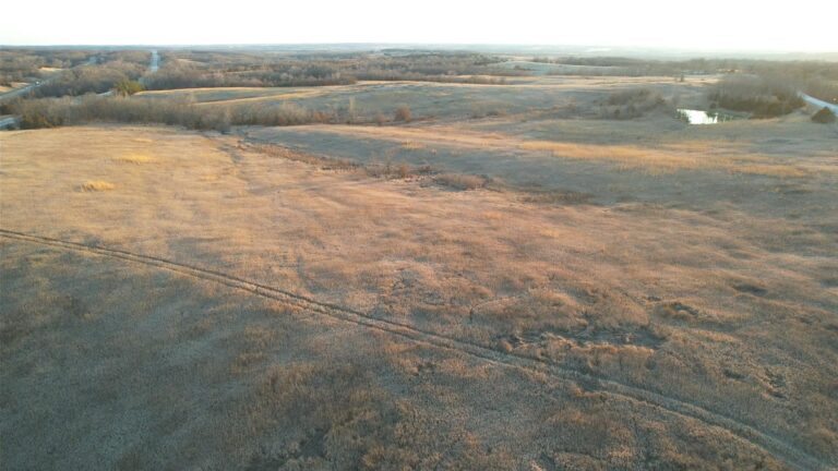 241.4 Acres m_l CRP Ground, Cropland & Recreational Land- 2 Tracts-Tract 1-1741212788
