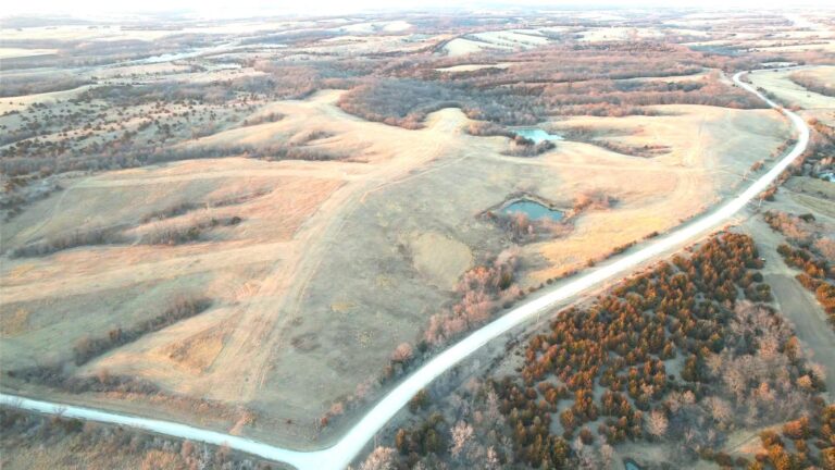 241.4 Acres m_l CRP Ground, Cropland & Recreational Land- 2 Tracts-Tract 2-1741212924