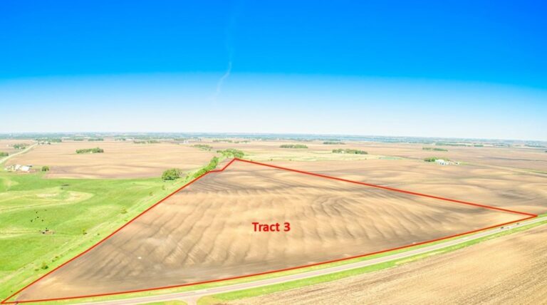 250 Acres m_l Selling in 3 Tracts-4-1654097885