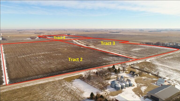 298 Acres - 4 Tracts-Tract 2, 3 & 4-1516819471