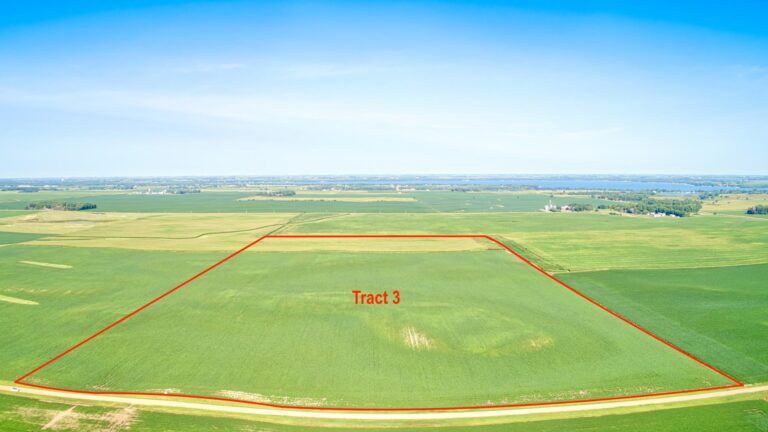 299 Acres m_l - 4 Tracts-Newton-1689717074