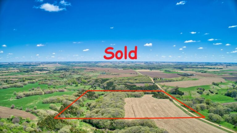 300 Acres m_l - Selling in 4 Tracts-Tract 3-1592507426