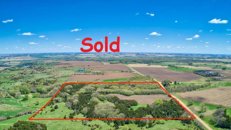 300 Acres m_l - Selling in 4 Tracts-Tract 4-1592507445