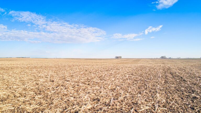 311.22 Surveyed Acres - 4 Tracts-1-1714594600