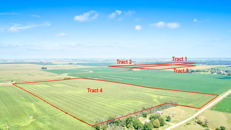 313 Acres m_l - 4 Tracts-All Tracts-1727187783