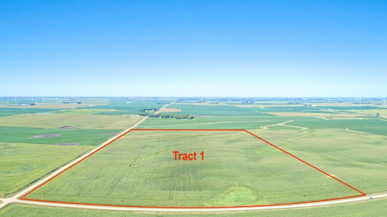 322 Acres m_l - 3 Tracts-Tract 1-1726262687