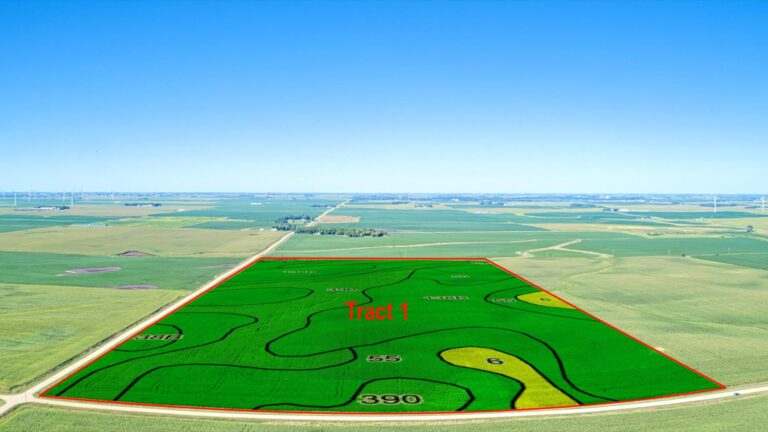 322 Acres m_l - 3 Tracts-Tract 1-1726263324