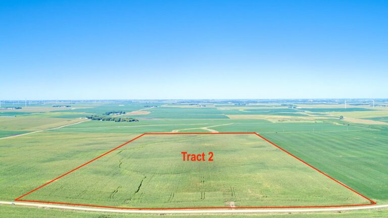 322 Acres m_l - 3 Tracts-Tract 2-1726263259