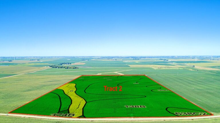322 Acres m_l - 3 Tracts-Tract 2-1726263340