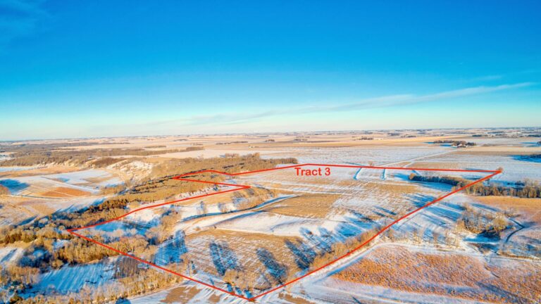 322.6 Acres Selling in 4 Tracts-3-1611619631
