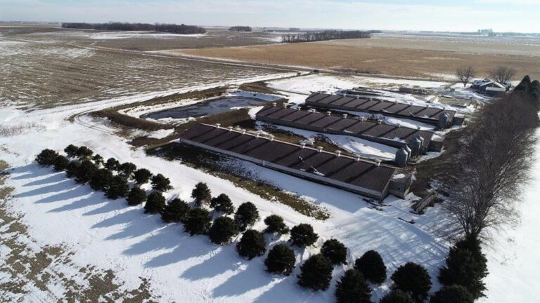 3,300 Head Wean to Finish Hog Site & Equipment-1-1610644131