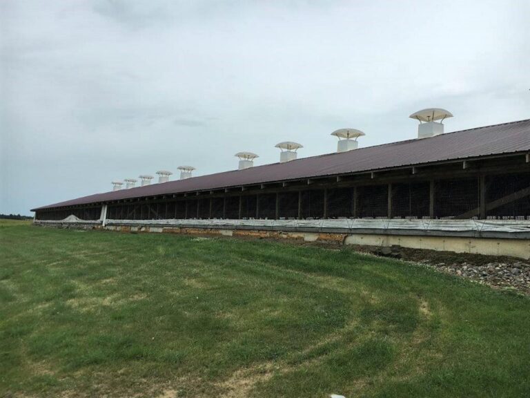 3,300 Head Wean to Finish Hog Site & Equipment-1-1610645602