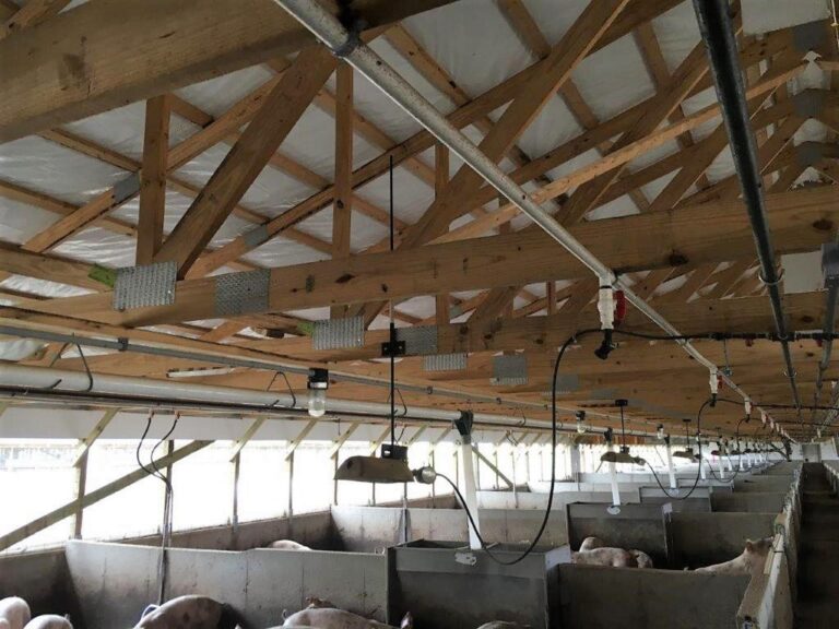 3,300 Head Wean to Finish Hog Site & Equipment-1-1610645738
