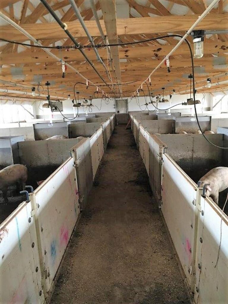 3,300 Head Wean to Finish Hog Site & Equipment-1-1610645797