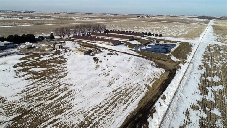 3,300 Head Wean to Finish Hog Site & Equipment-1-1610645893