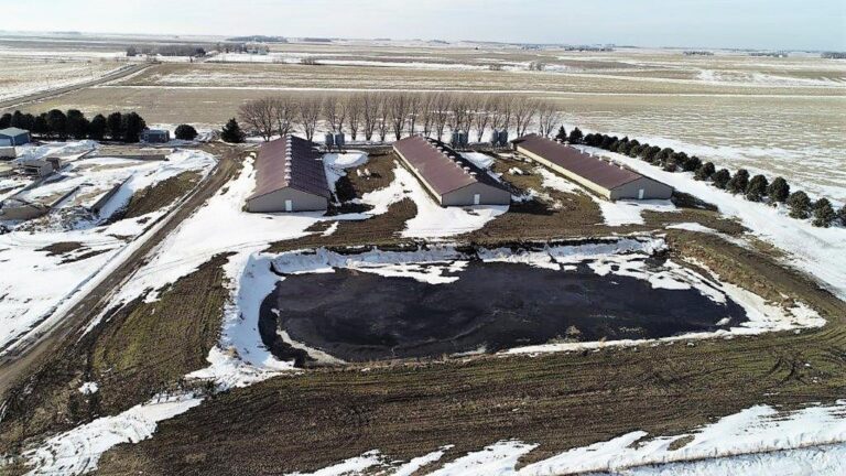3,300 Head Wean to Finish Hog Site & Equipment-1-1610645930