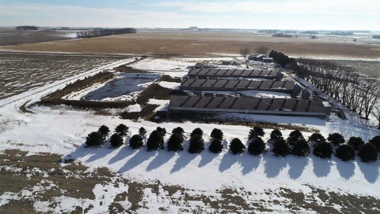3,300 Head Wean to Finish Hog Site & Equipment-1-1610646003