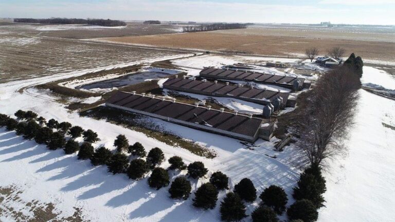 3,300 Head Wean to Finish Hog Site & Equipment-1-1610646035