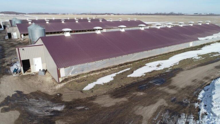 3,300 Head Wean to Finish Hog Site & Equipment-1-1610646467