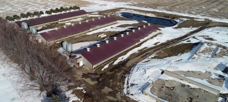 3,300 Head Wean to Finish Hog Site & Equipment-1-1610646560