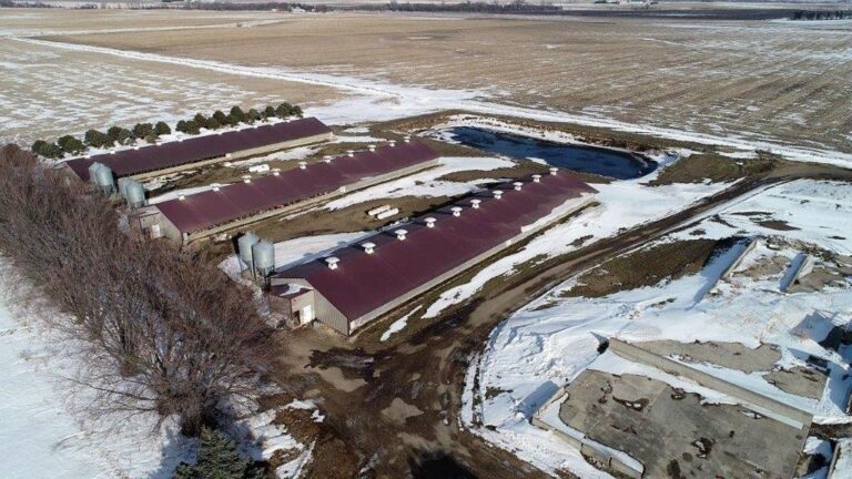3,300 Head Wean to Finish Hog Site & Equipment-1-1610646598