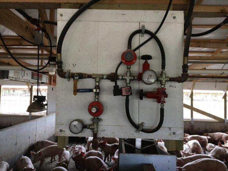 3,300 Head Wean to Finish Hog Site & Equipment-1-1610646634