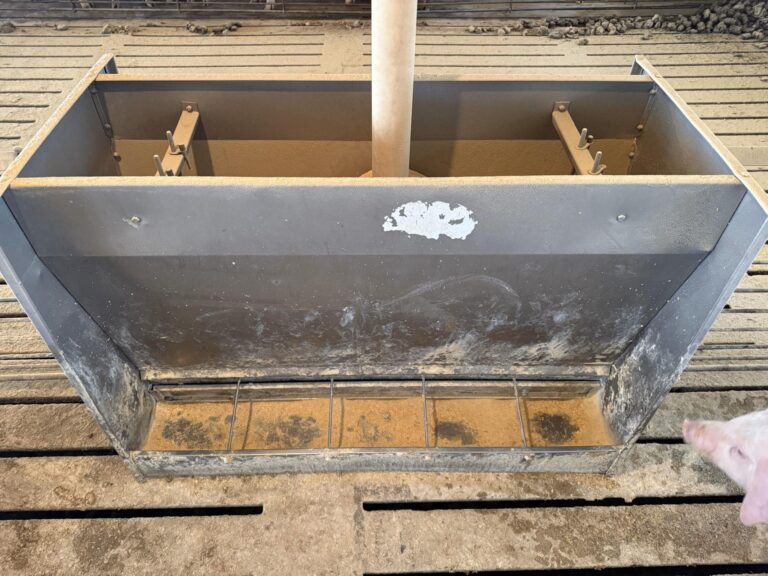 3840 Head Swine Facility-11