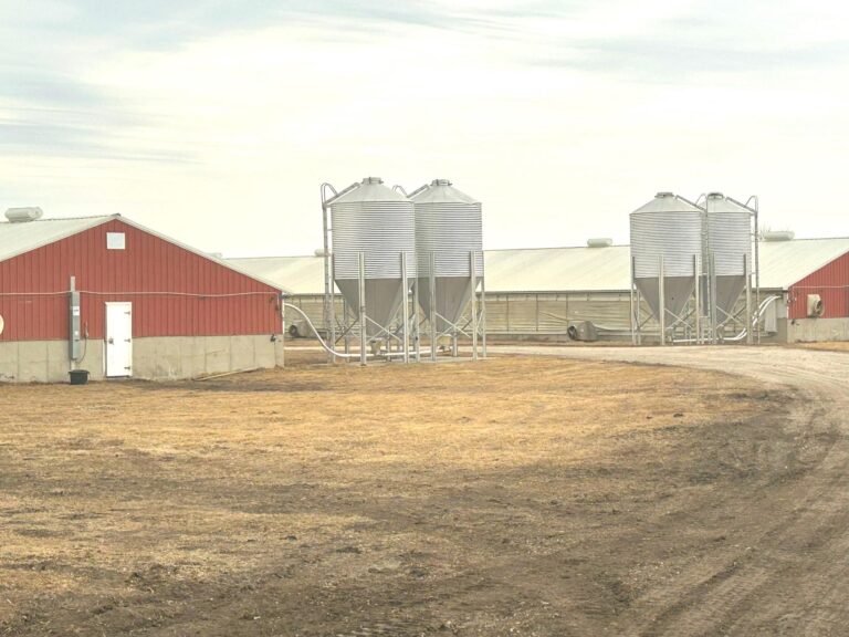 3840 Head Swine Facility-2