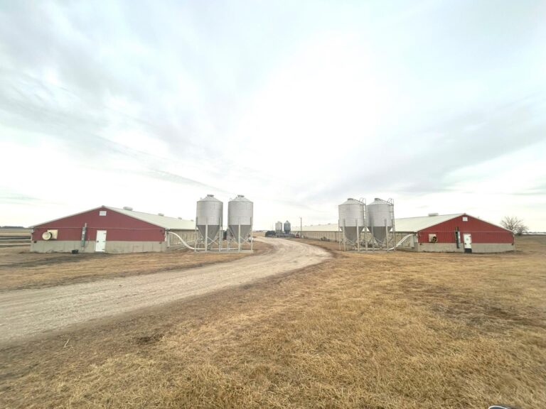 3840 Head Swine Facility-3