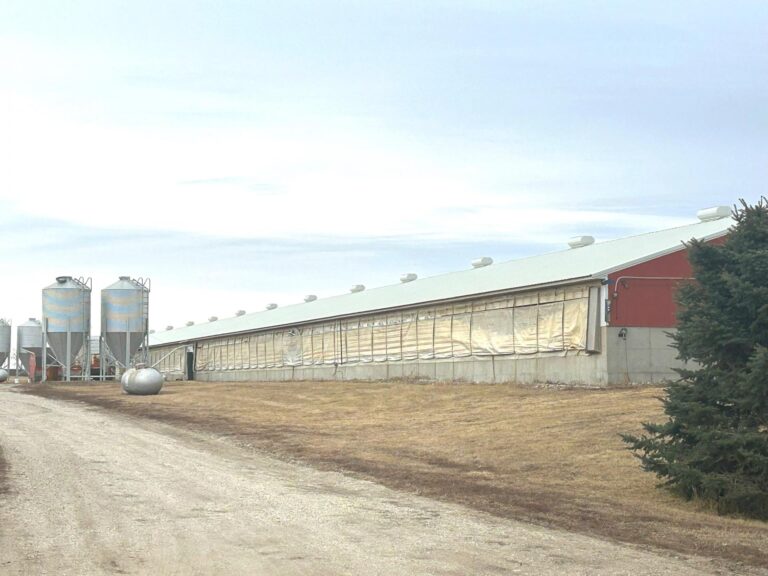 3840 Head Swine Facility-4