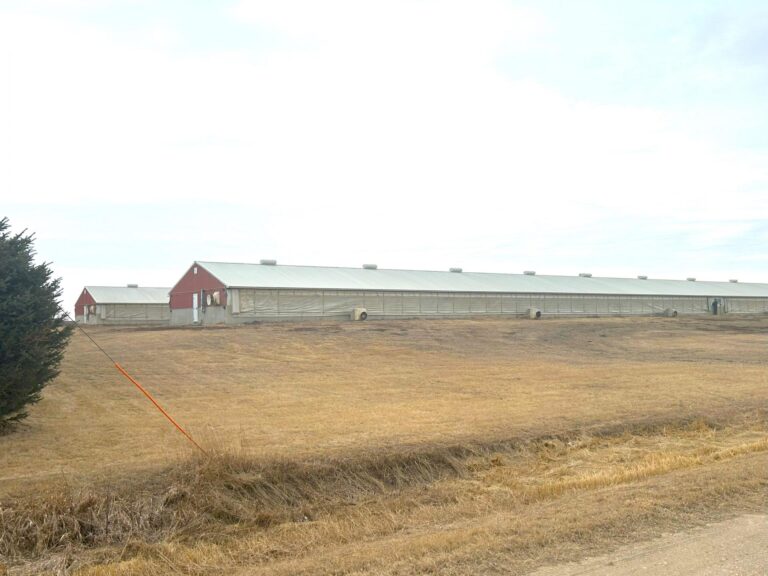 3840 Head Swine Facility-5