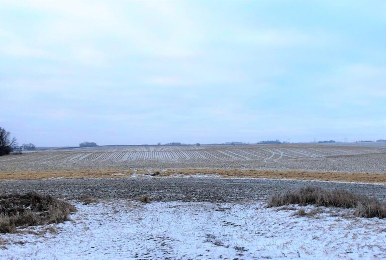 40 Acres m_l-photo-1548272136