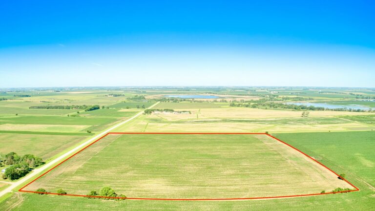 40 Acres m_l-z-1655994720