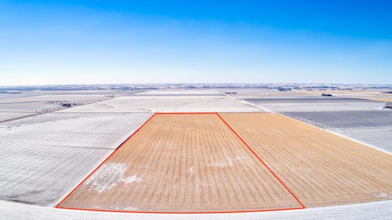 40.06 Surveyed Acres Clay County - 2
