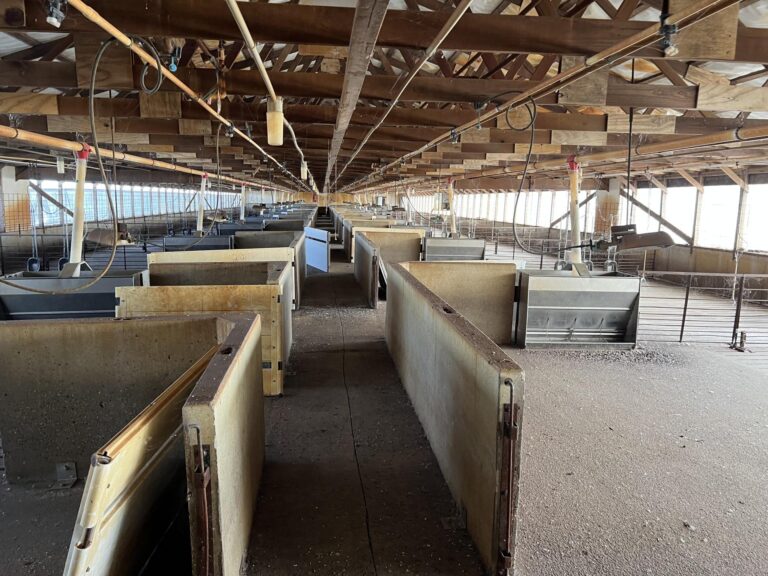 4,400 Head Wean-to-Finish Hog Facility-1-1670364518