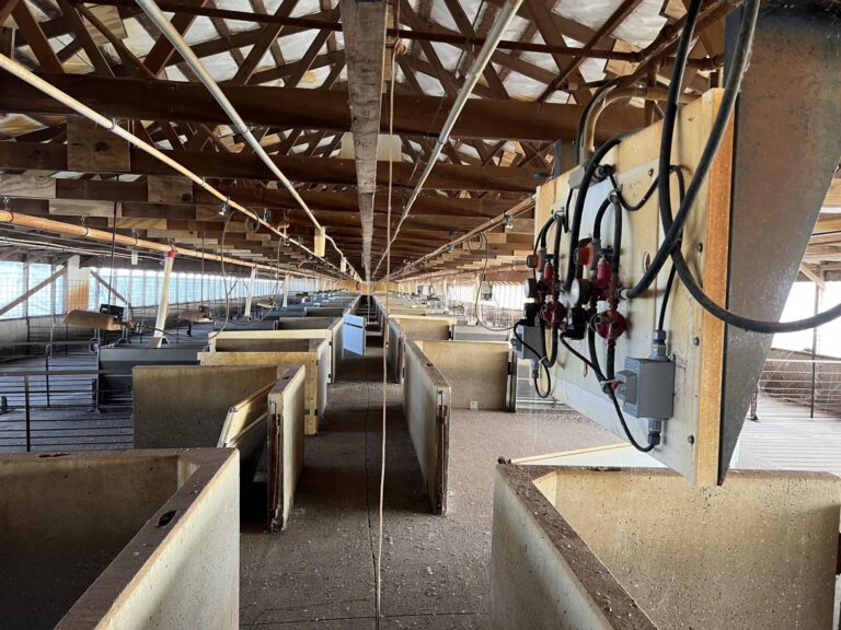 4,400 Head Wean-to-Finish Hog Facility-1-1670364550