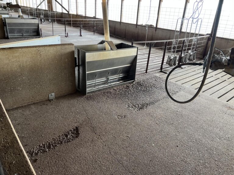 4,400 Head Wean-to-Finish Hog Facility-1-1670364574