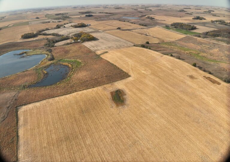 46.55 Acres m_l-1-1729704816