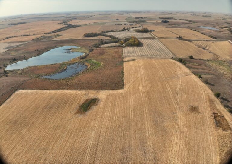 46.55 Acres m_l-1-1729706374