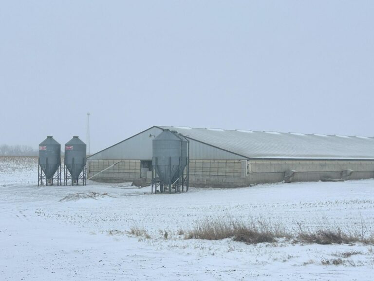 4800 Head Swine Facility and Acreage-Swine Facility-1740169752