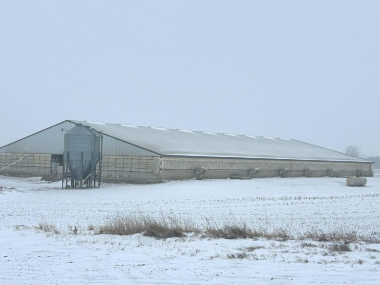 4800 Head Swine Facility and Acreage-Swine Facility-1740169803